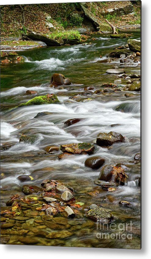 Smokies Metal Print featuring the photograph Little River Rapids 14 by Phil Perkins