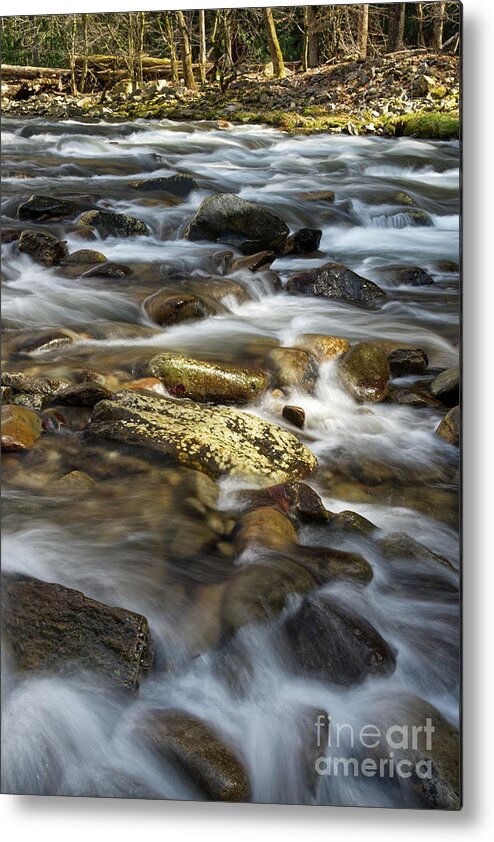 Smokies Metal Print featuring the photograph Little River Rapids 19 by Phil Perkins