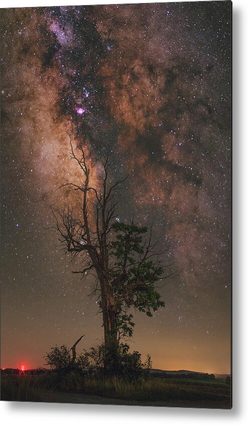 Nightscape Metal Print featuring the photograph Lone Tree by Grant Twiss