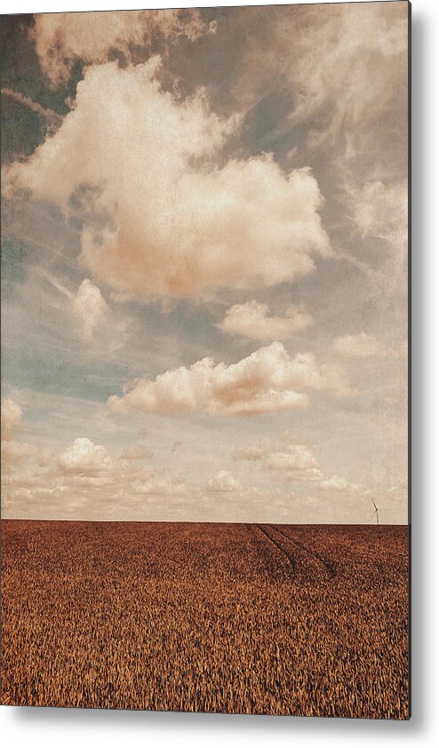 Land Metal Print featuring the photograph Loneliness by Yasmina Baggili
