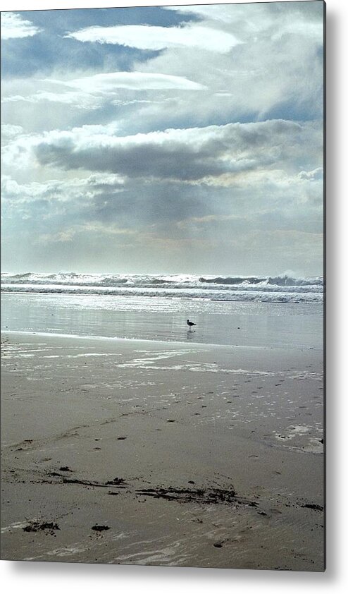 Ocean Metal Print featuring the photograph Loner by Deahn Benware