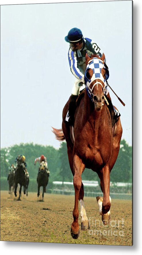 1 1/2 Mile Metal Print featuring the painting Looking Back, 1 1/2 mile Belmont Stakes Secretariat 06/09/73 time 2 24 - painting by Thomas Pollart