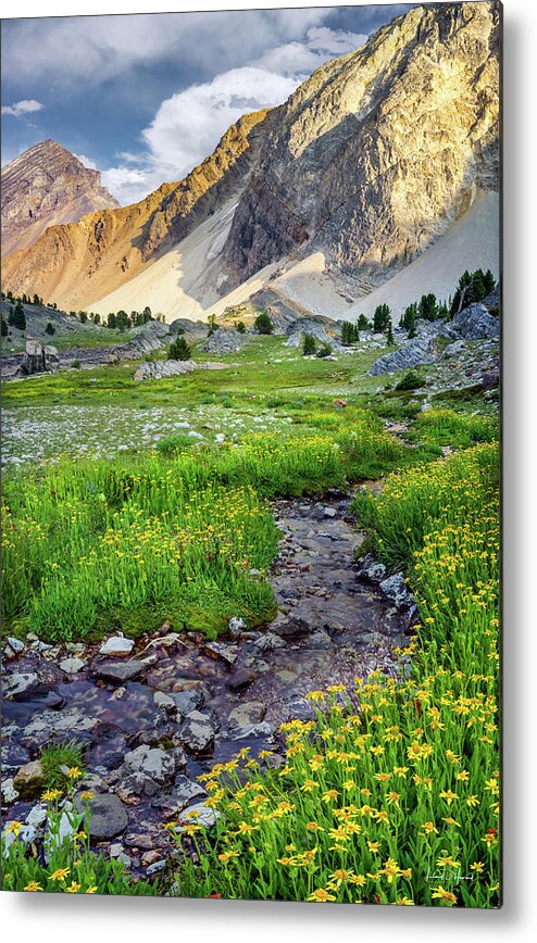 Nature Metal Print featuring the photograph Lost River Mountains Meadow by Leland D Howard