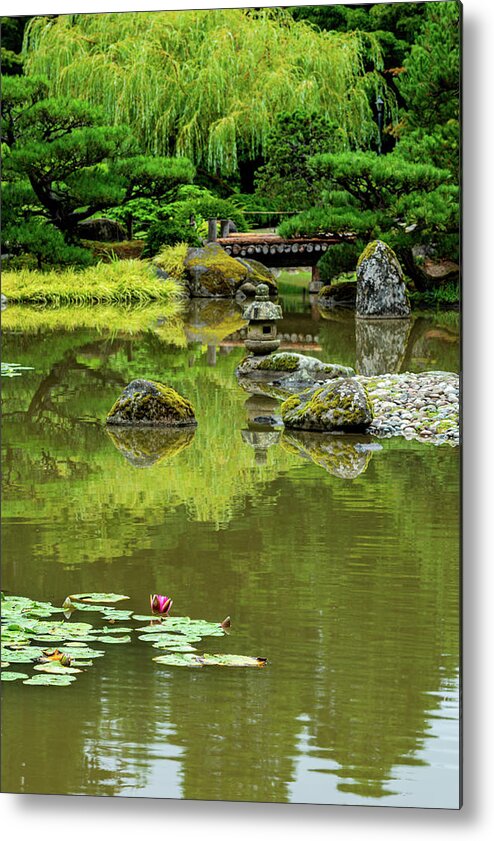 Outdoor; Summer; Japanese Garden; Seattle; City; Park; Water Lilies; Lotus; Pond; Metal Print featuring the digital art Lotus in Japanese Garden by Michael Lee