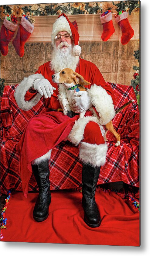 Lucy Metal Print featuring the photograph Lucy with Santa 1 by Christopher Holmes