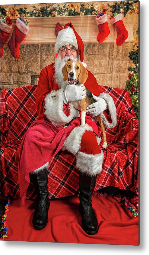 Lucy Metal Print featuring the photograph Lucy with Santa 2 by Christopher Holmes