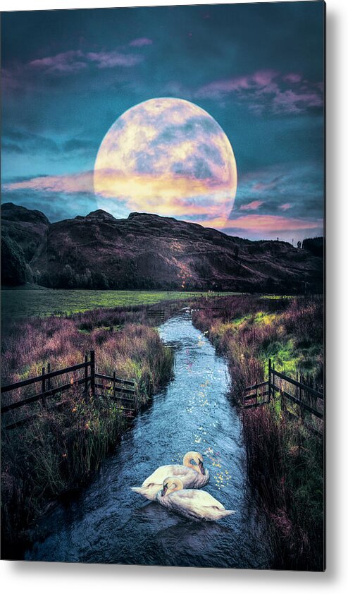 Birds Metal Print featuring the photograph Moonlight on the Swans II at Nightfall by Debra and Dave Vanderlaan