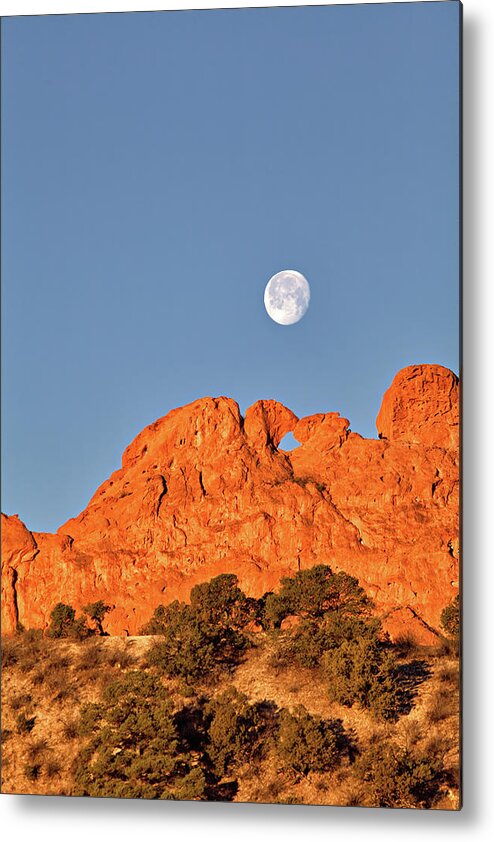 Moon Metal Print featuring the photograph Moonset over Kissing Camels by Bob Falcone