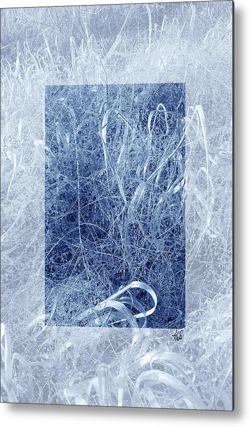Grass Metal Print featuring the photograph Morning Dew by Tatiana Fess