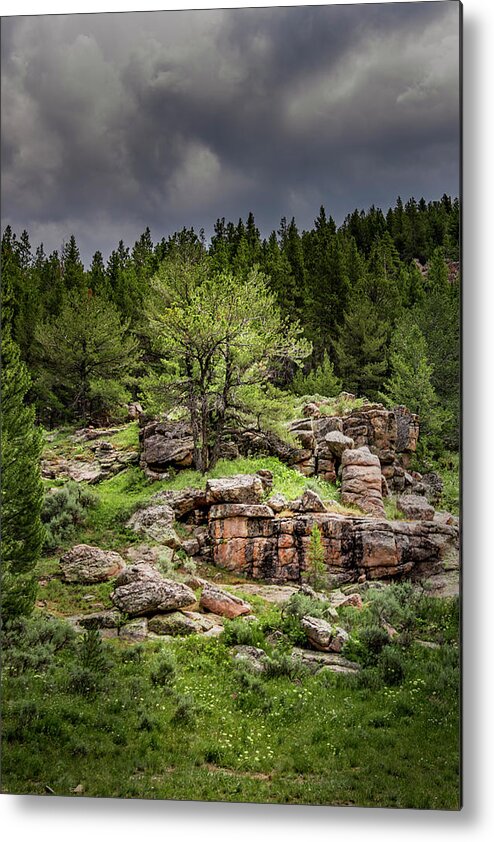 Rocky Outcropping Metal Print featuring the photograph Mountain Oasis by Laura Terriere