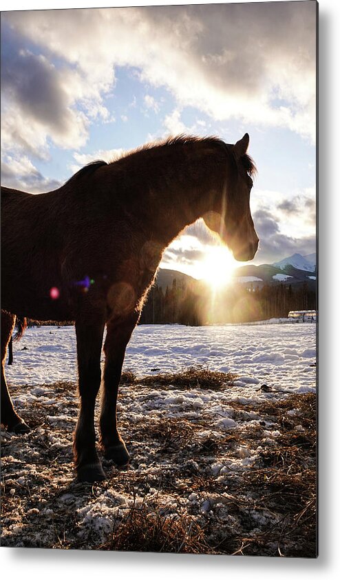 Winter Metal Print featuring the photograph Mountain Sunset by Listen To Your Horse