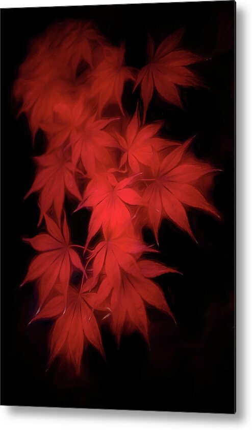 Red Metal Print featuring the photograph Much Wind in the Leaves by Philippe Sainte-Laudy