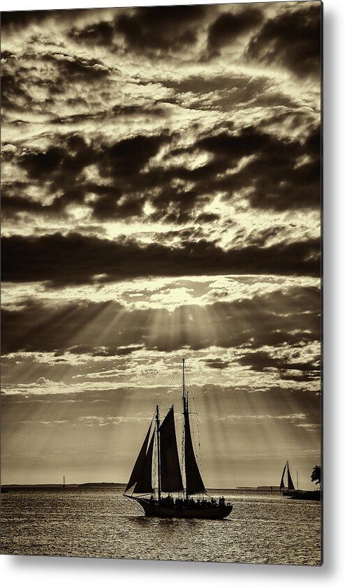 Florida Keys Metal Print featuring the photograph Nature's Artistry by Phil Marty