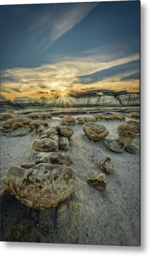 Natures Treasure Metal Print featuring the photograph Natures Treasure by George Buxbaum