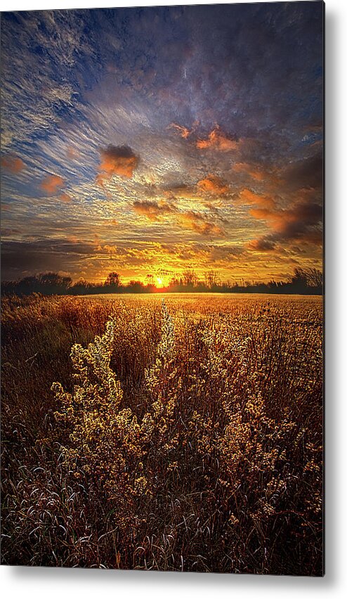 Life Metal Print featuring the photograph Now and Forever by Phil Koch