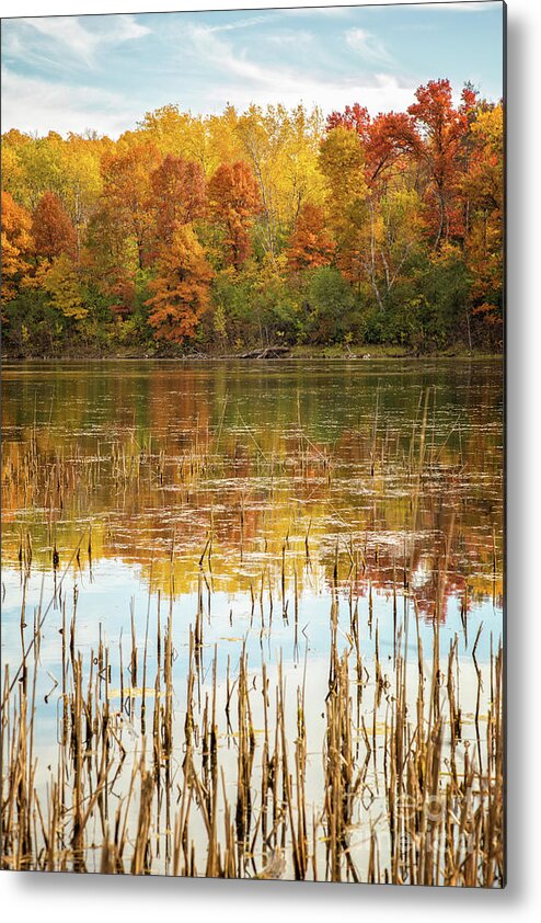 Pond Metal Print featuring the photograph Ochre Pond by Becqi Sherman