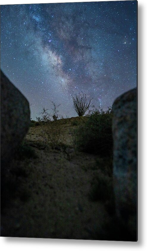  Metal Print featuring the photograph Ocotillo Milkyway by Local Snaps Photography