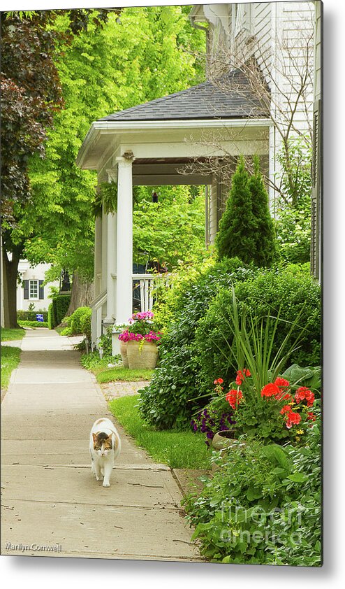 Flowers Metal Print featuring the photograph On the Garden Walk by Marilyn Cornwell