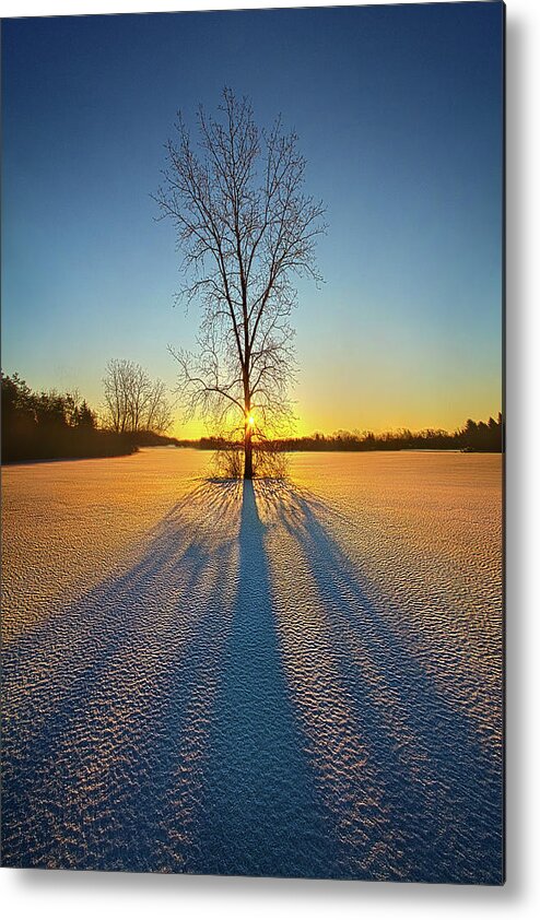 Hope Metal Print featuring the photograph One Tree by Phil Koch