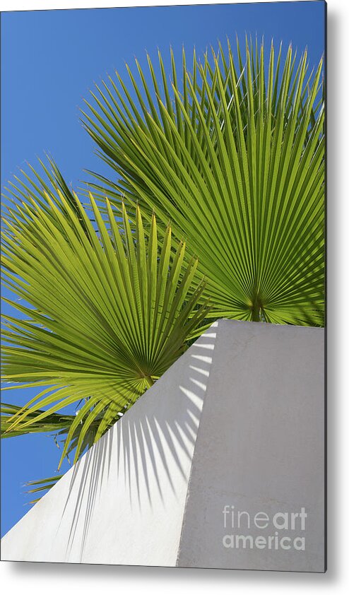 Palm Leaf Metal Print featuring the photograph Green palm leaves, blue sky and white wall of a modern finca 1 by Adriana Mueller