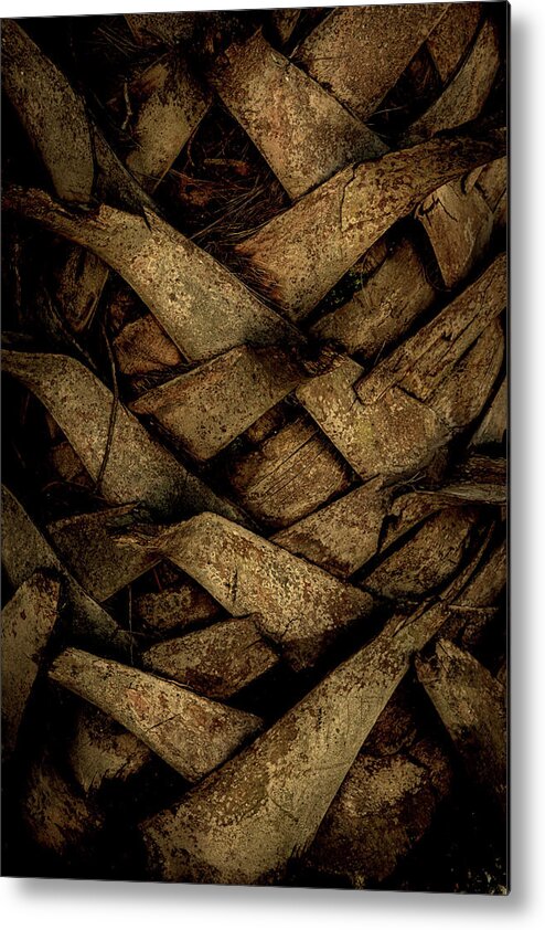 Palmpatterns Metal Print featuring the photograph Palm Patterns by Vicky Edgerly
