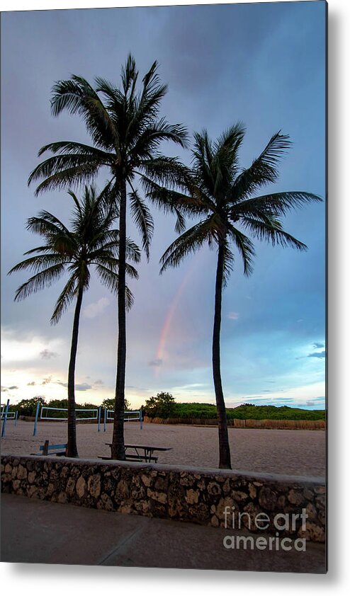 Rainbow Metal Print featuring the photograph Palm Tree Rainbow, South Beach, Miami, Florida by Beachtown Views