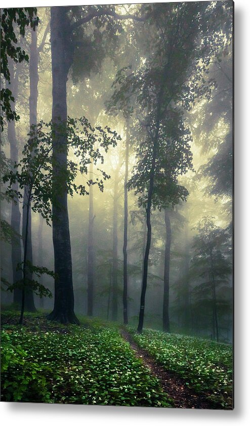 Balkan Mountains Metal Print featuring the photograph Path In the Mist by Evgeni Dinev