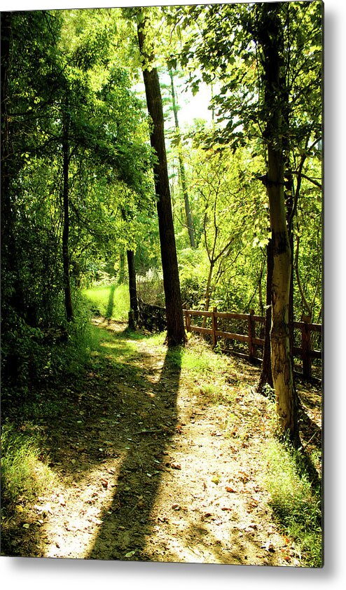 Trees Metal Print featuring the photograph Path out of Summer by Christopher Reed