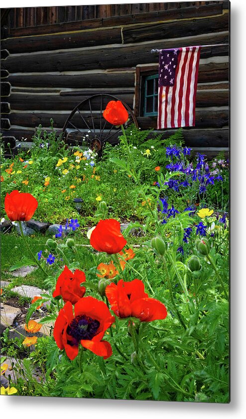 Crested Butte Metal Print featuring the photograph Patriotic Poppy Garden by Lynn Bauer