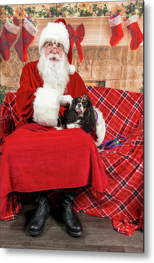 Peppermint Metal Print featuring the photograph Peppermint with Santa 1 by Christopher Holmes