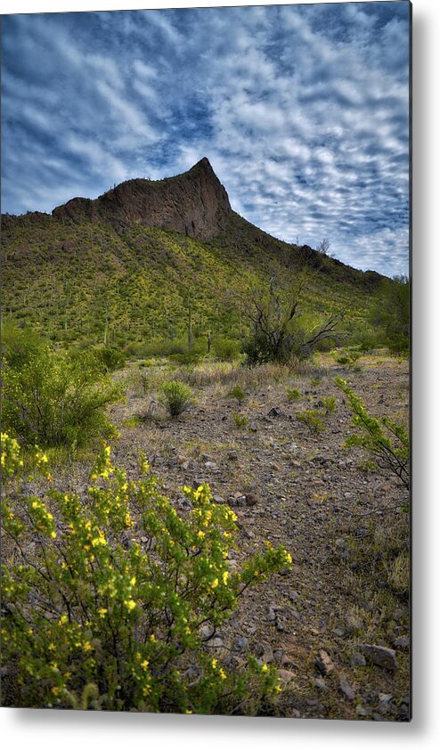 Picacho Peak Metal Print featuring the photograph Picacho Peak, Arizona by Chance Kafka