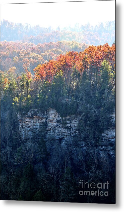 Nature Metal Print featuring the photograph Point Trail At Obed 5 by Phil Perkins