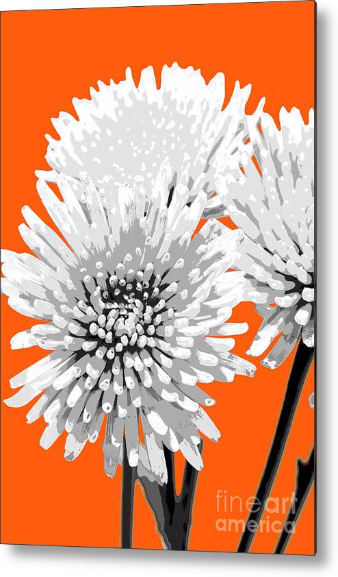 Popart Metal Print featuring the photograph PopART Anastacia Chrysanthemum-orange by Renee Spade Photography