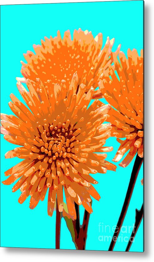 Popart Metal Print featuring the photograph PopART Anastacia Chrysanthemum-orange-Turquoise by Renee Spade Photography