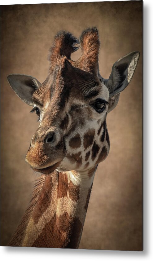 Portrait Metal Print featuring the digital art Portrait giraffe in shades of brown by Marjolein Van Middelkoop
