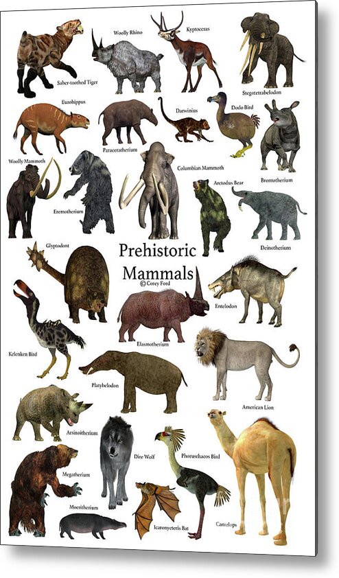 Prehistoric Mammals Metal Print by Corey Ford - Fine Art America