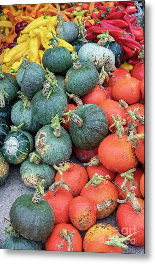 Pumpkins Metal Print featuring the photograph Pumpkin Squash and Peppers by Tim Gainey