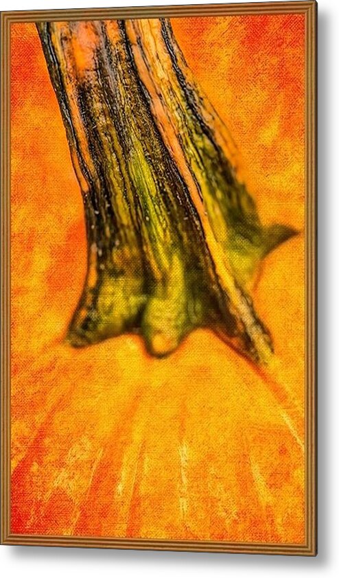 Pumpkin Metal Print featuring the painting Pumpkin Stalk by Juliette Becker