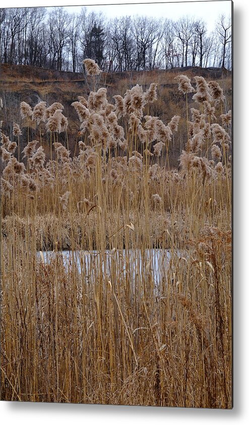 Nature Metal Print featuring the photograph Quarry Whisps And Pond by Kreddible Trout