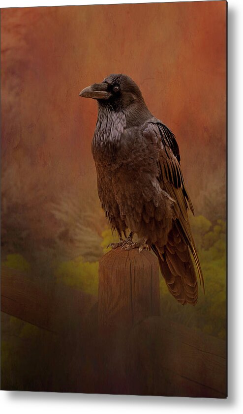 Raven Metal Print featuring the photograph Quoth the Raven by Paul Giglia