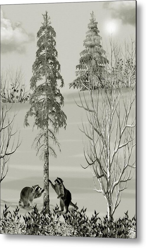 Raccoon Metal Print featuring the mixed media Raccoons in the Wild Winter Forest by David Dehner