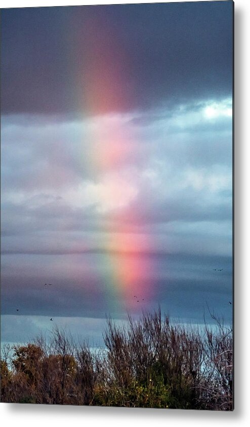 Rainbow Metal Print featuring the photograph Rainbow at Gilbert Riparian 012121 by Tam Ryan