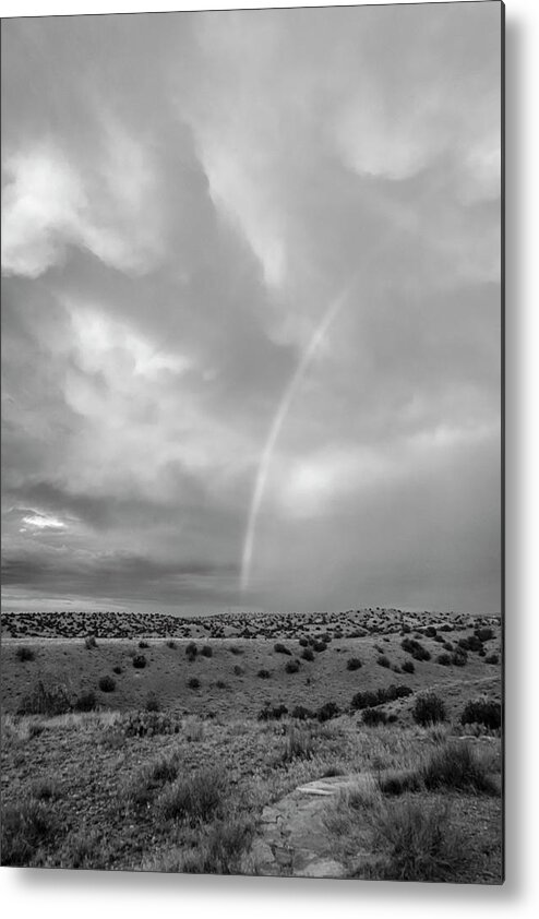 Rainbow Metal Print featuring the photograph Rainbow in Black and White by Mary Lee Dereske