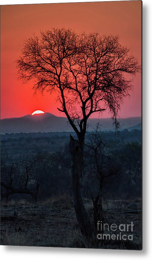 Sunset Metal Print featuring the photograph Red At Night by Tom Watkins PVminer pixs