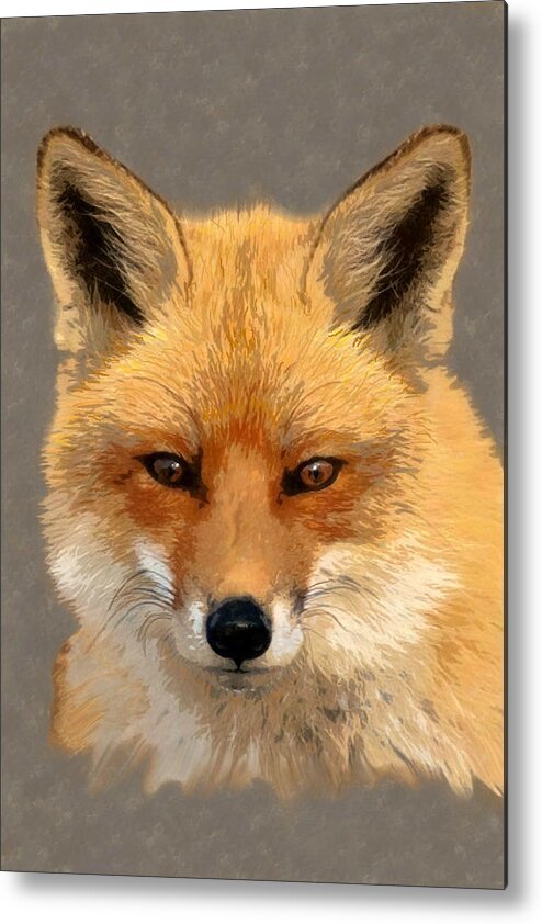 Nature Metal Print featuring the mixed media Red Fox by Judy Cuddehe