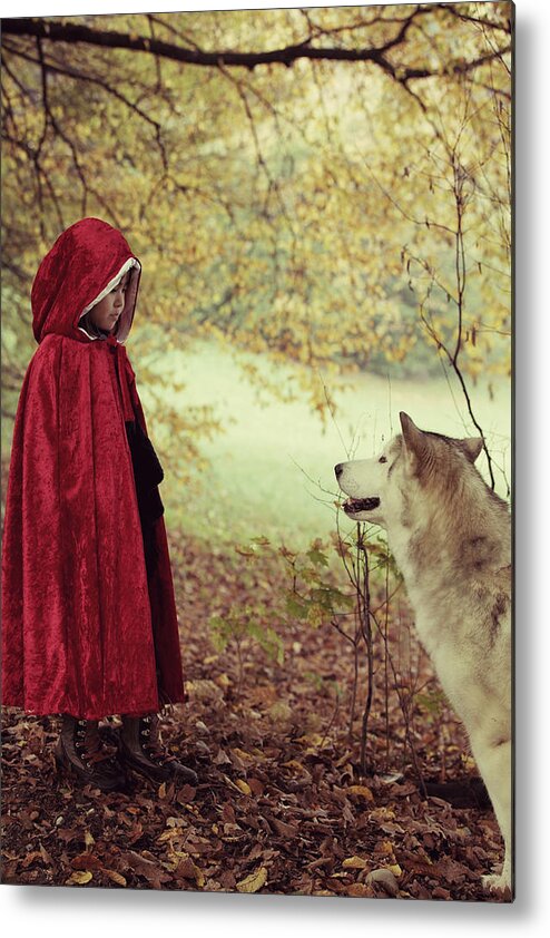 4-5 Years Metal Print featuring the photograph Red riding hood face to face with big bad wolf by Susan.k.