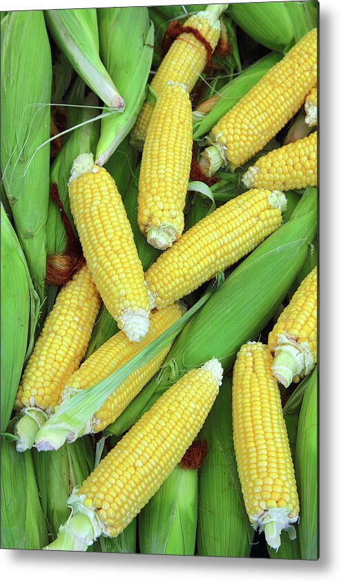 Corn Metal Print featuring the photograph Ripe Corn - Food Background by Mikhail Kokhanchikov