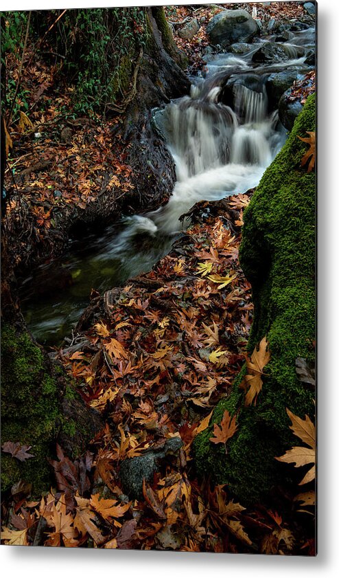Waterfall Metal Print featuring the photograph River flowing with maple leaves on the rocks on the riverside in autumn season by Michalakis Ppalis