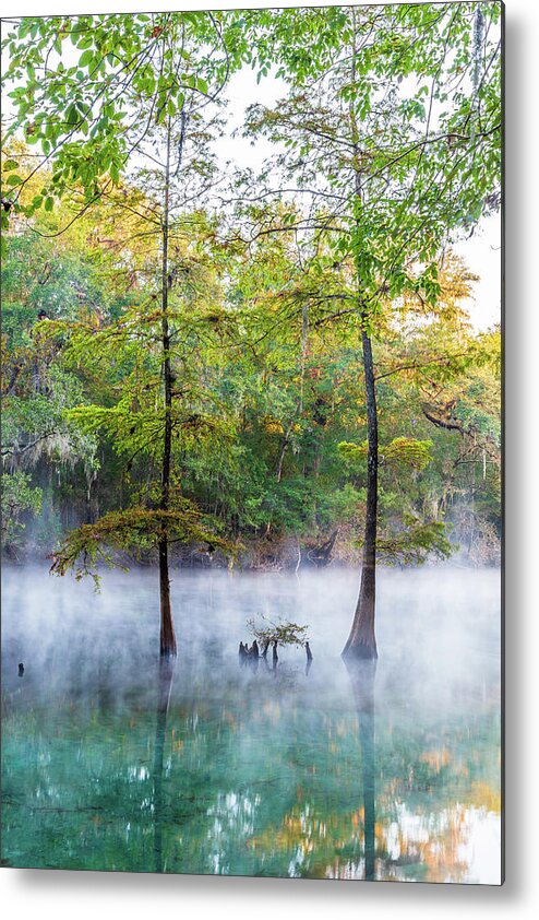 Florida Metal Print featuring the photograph River Morning Mist by Stefan Mazzola