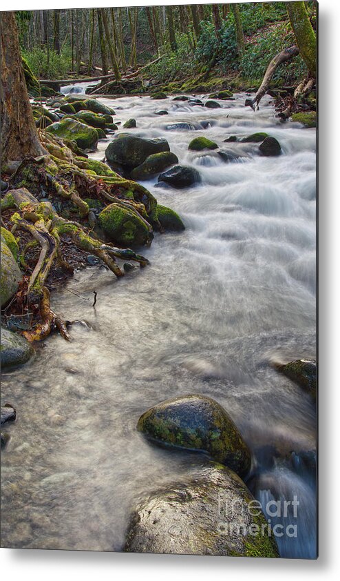  Metal Print featuring the photograph Roadside Creek 3 by Phil Perkins
